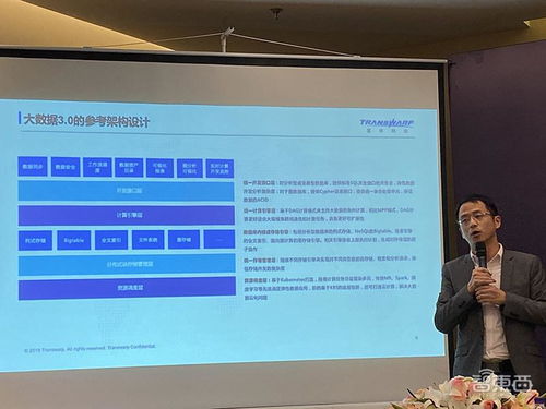 星环科技 深耕技术咨询领域的专家