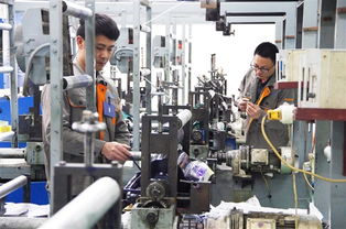 池州日报社多媒体数字报技术开发 融合创新与数字化转型